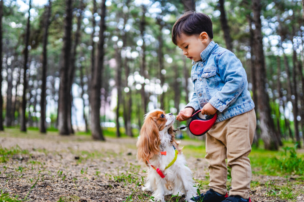 Little boy and a King Charles cavalier
